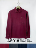 Polo A 801